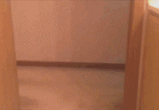 gifs_20.gif