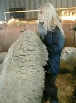 gifs_20.gif