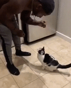gifs_20.gif
