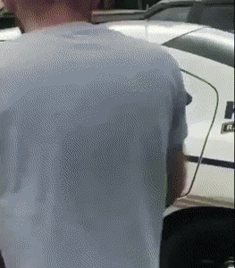 gifs_20.gif