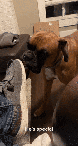 gifs_20.gif