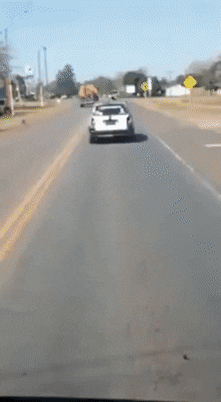 gifs_20.gif