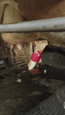 gifs_20.gif