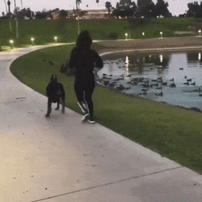 gifs_21.gif