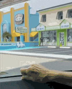 gifs_21.gif