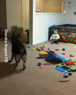 gifs_21.gif