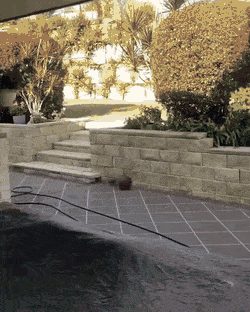gifs_21.gif