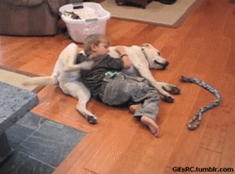 gifs_21.gif