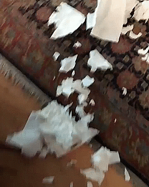gifs_21.gif