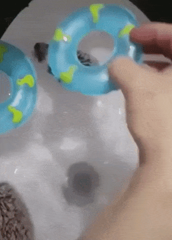 gifs_21.gif