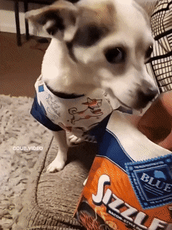 gifs_21.gif