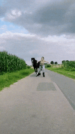 gifs_21.gif