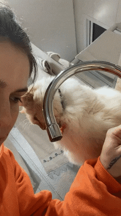 gifs_21.gif