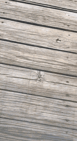 gifs_21.gif