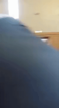 gifs_21.gif