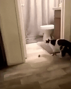 gifs_22.gif