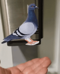 gifs_22.gif