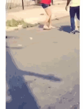 gifs_22.gif