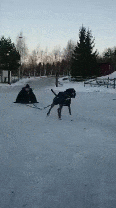 gifs_22.gif