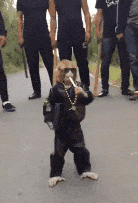 gifs_22.gif