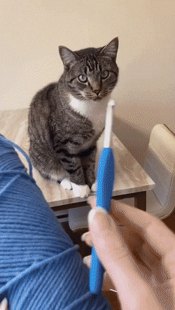gifs_22.gif