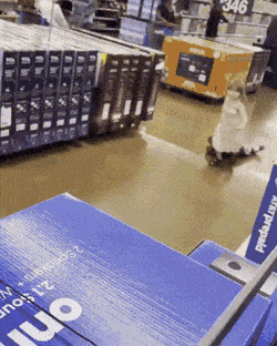 gifs_22.gif