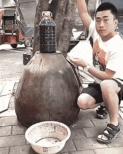 gifs_22.gif