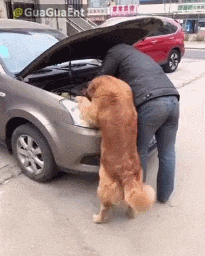 gifs_22.gif