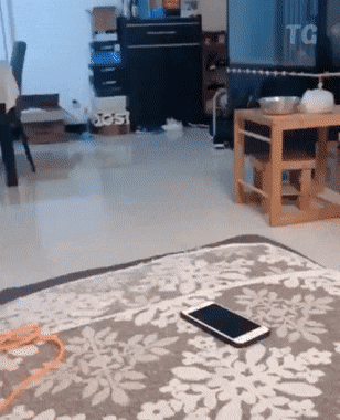 gifs_22.gif