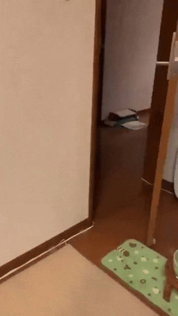 gifs_23.gif