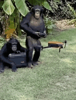 gifs_23.gif