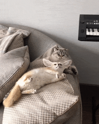 gifs_23.gif