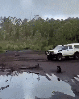 gifs_23.gif