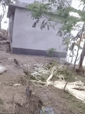 gifs_23.gif
