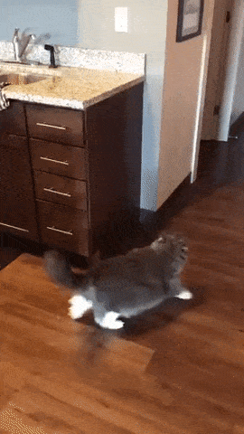 gifs_23.gif