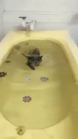gifs_23.gif
