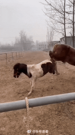 gifs_23.gif