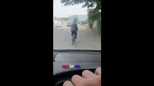 gifs_23.gif