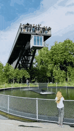 gifs_23.gif
