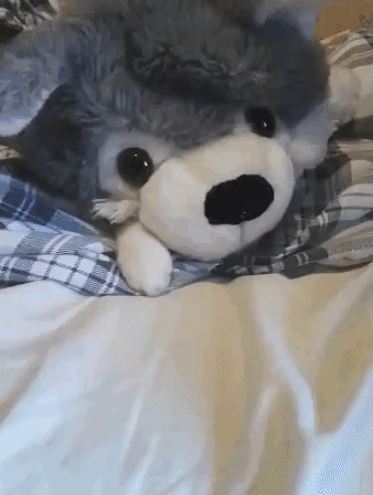 gifs_23.gif