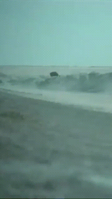 gifs_23.gif