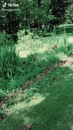 gifs_24.gif