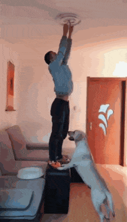 gifs_24.gif