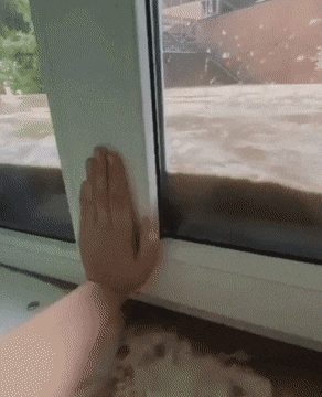 gifs_24.gif