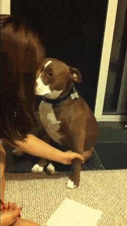 gifs_24.gif