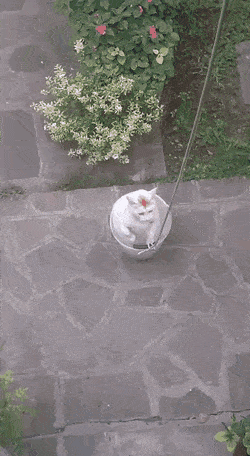 gifs_24.gif