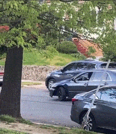 gifs_24.gif