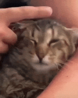 gifs_24.gif