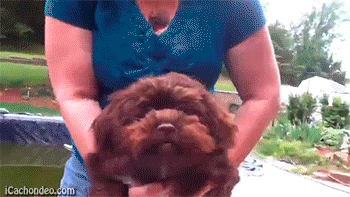 GIFS_25.gif