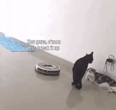 gifs_25.gif